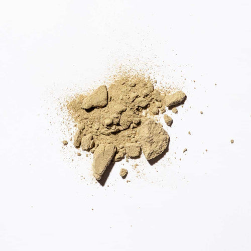 burdock root powder on white background