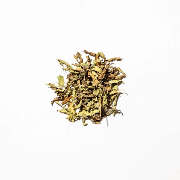 Lemon Verbena